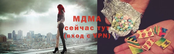 apvp Бородино