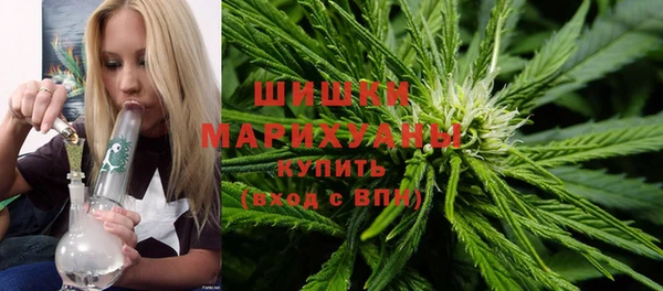 apvp Богданович