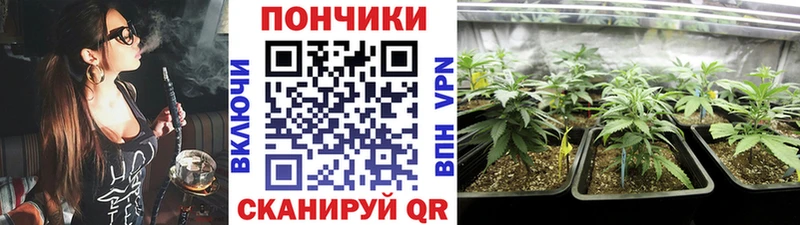Шишки марихуана ГИДРОПОН  Якутск 
